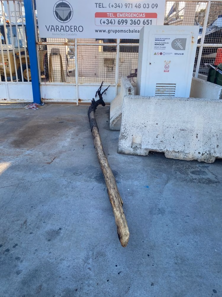 Salvamento Marítimo saca del agua un tronco de 3 metros peligroso para la navegación