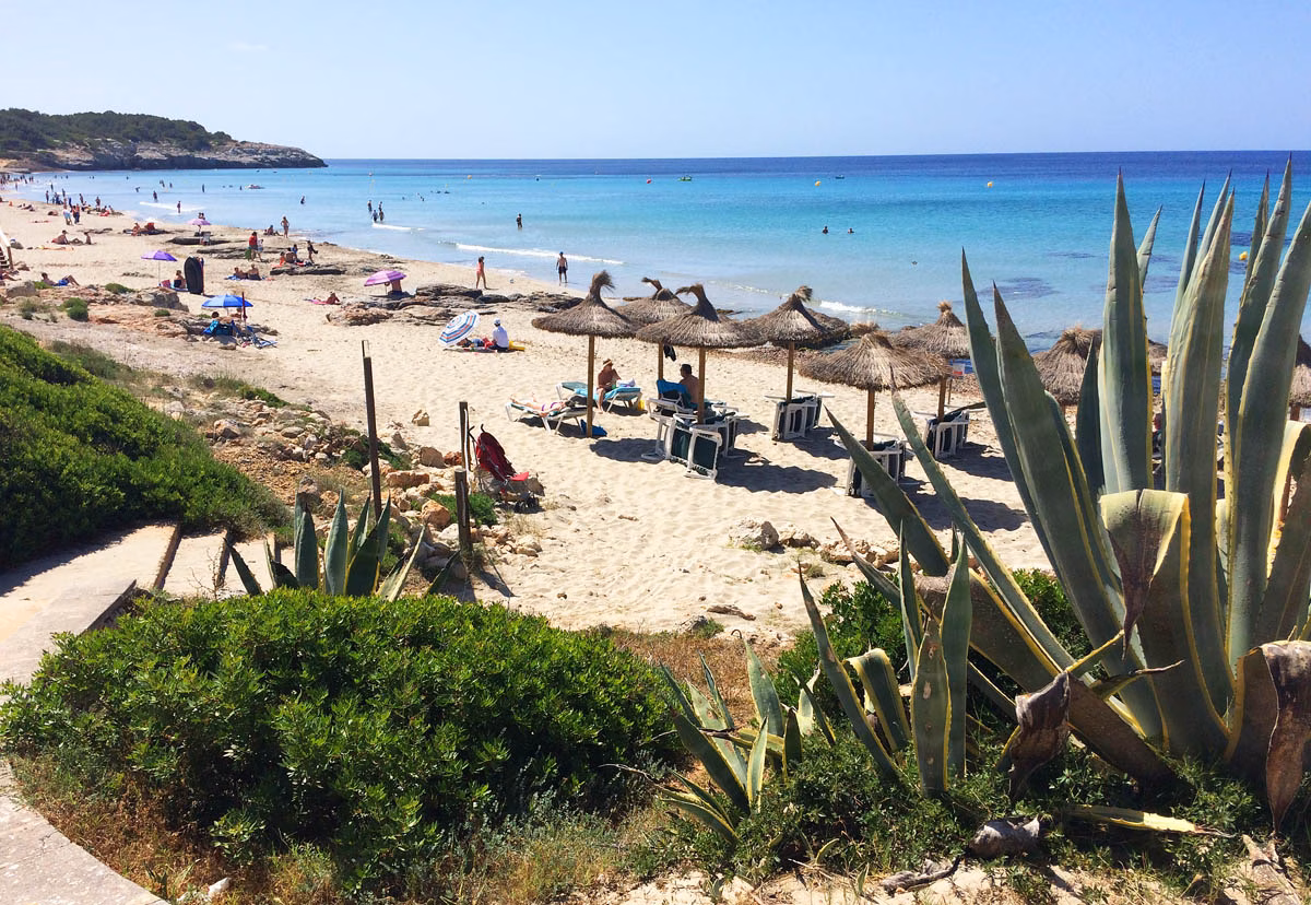 BBVA prevé un crecimiento de Baleares este año del 3,1 %