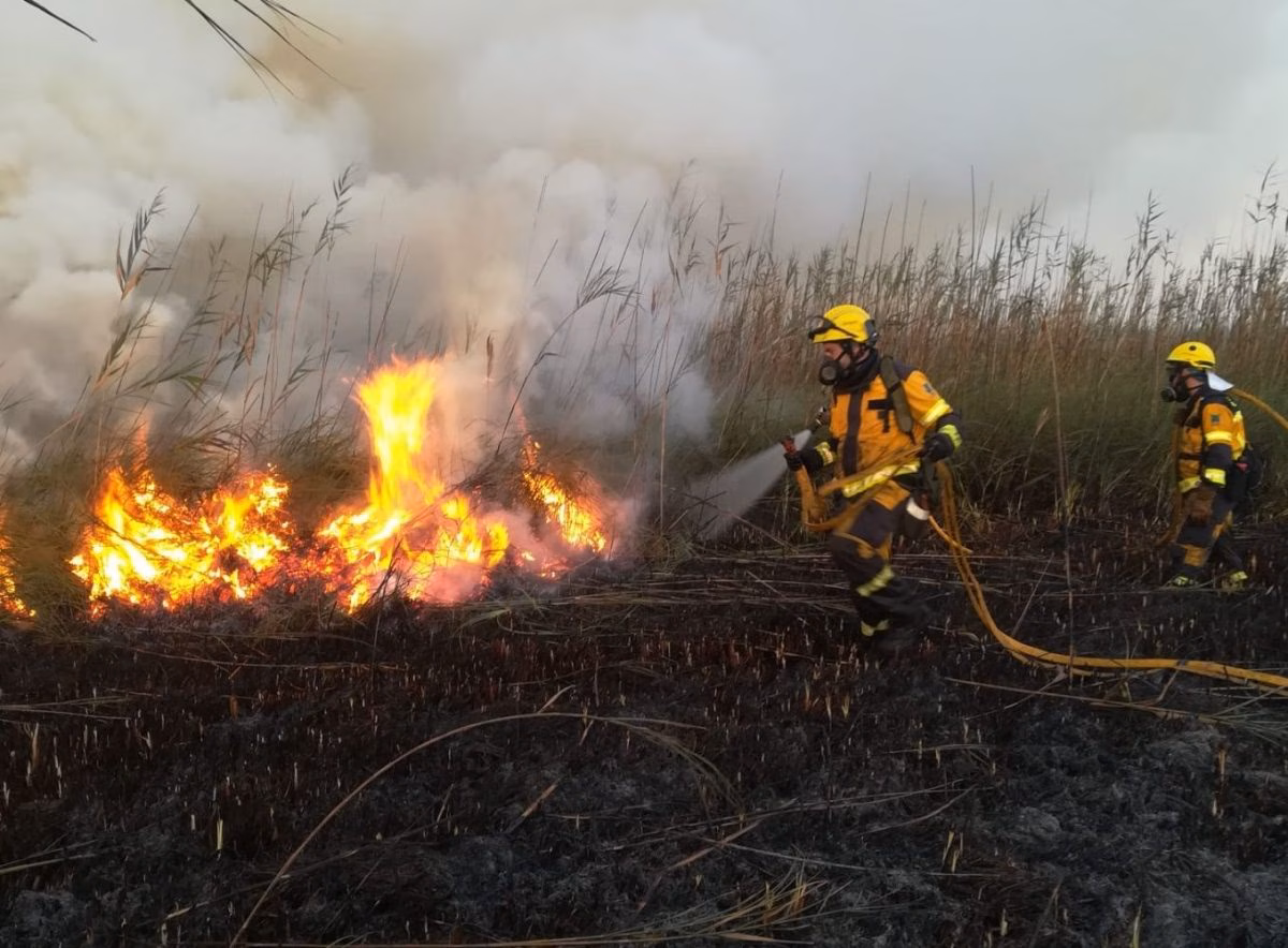 La mejor extinción y la conciencia ciudadana reducen los incendios forestales en Baleares