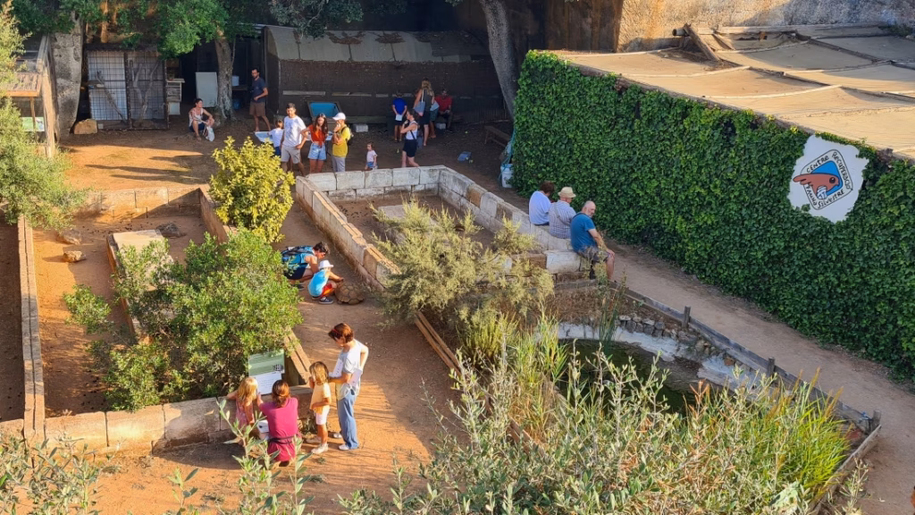 GOB y Menorca Preservation acuerdan reforzar tres años la asistencia a la fauna rescatada