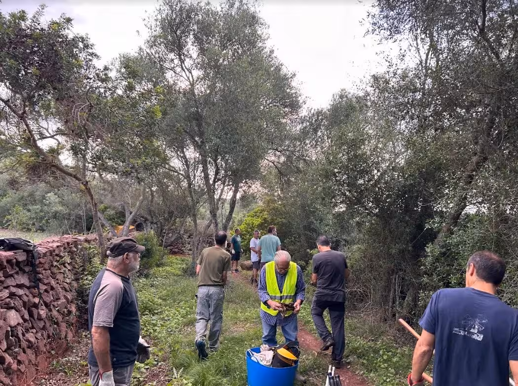 (La foto) Amics del Camí d'en Kane limpia el tramo de Sant Patrici