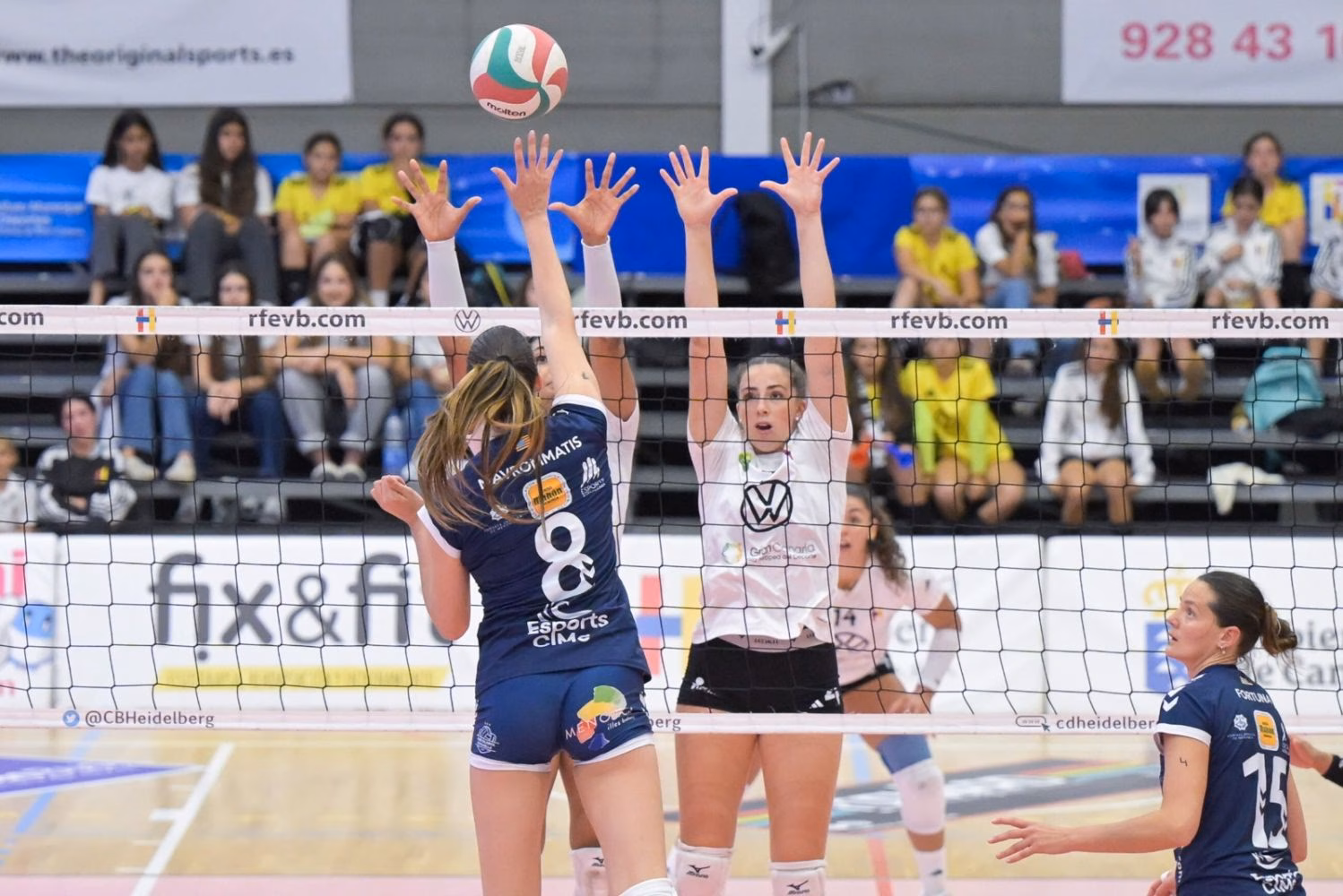 Un Avarca-Heidelberg a todo o nada para las menorquinas