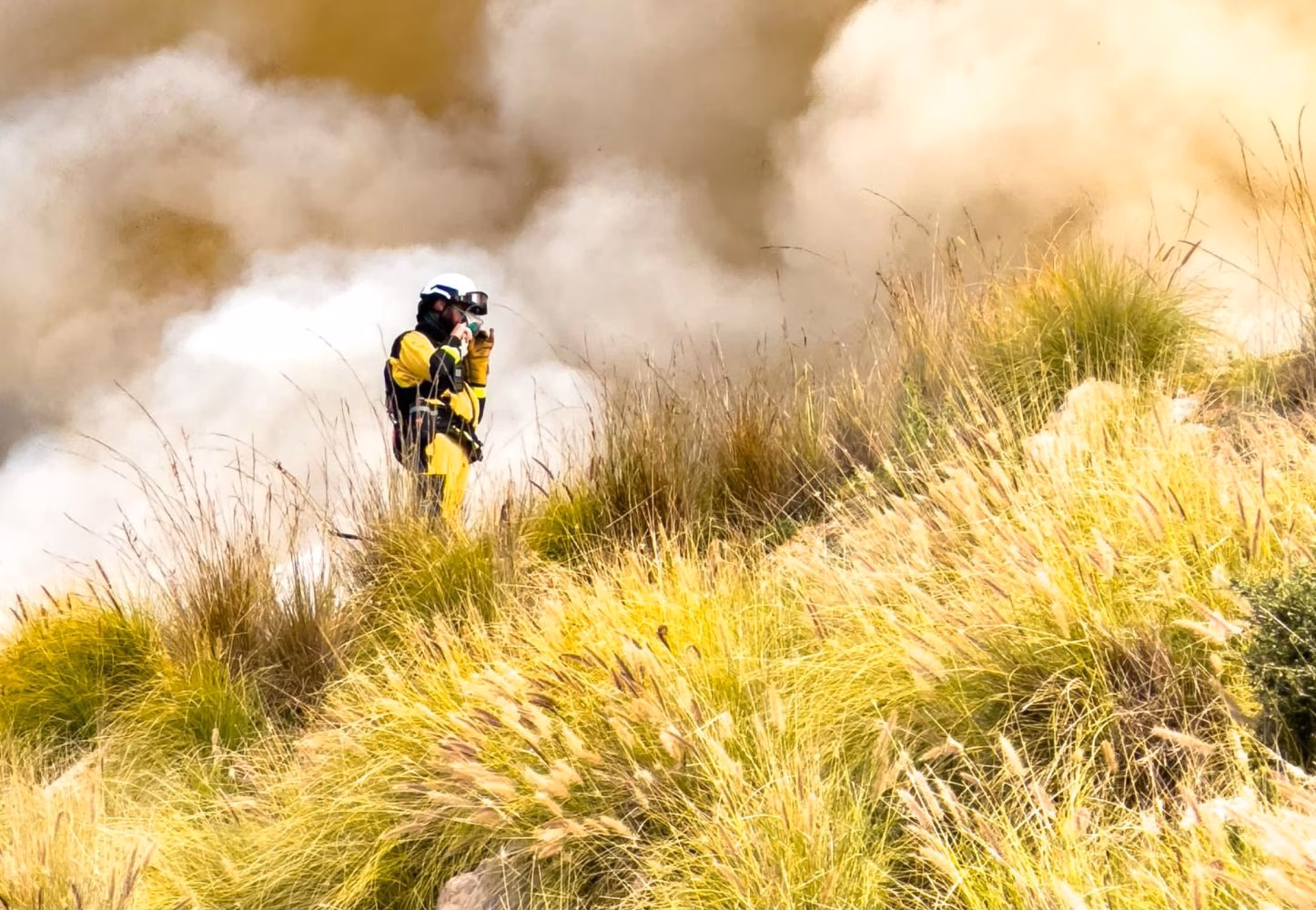 Comienza la época de alto peligro de incendio forestal en Menorca