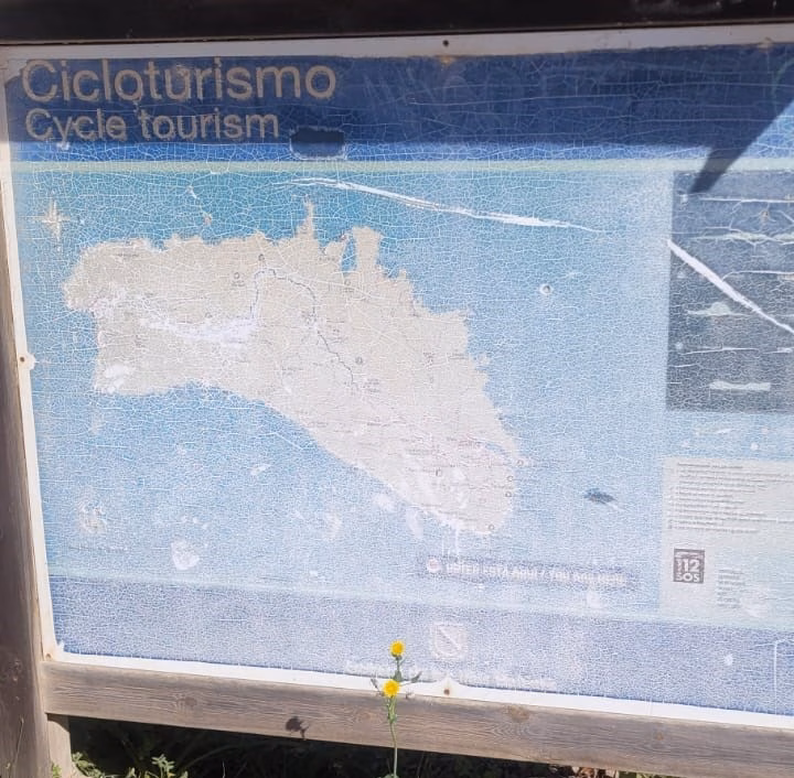 (Foto-denuncia) El mal estado de los paneles informativos en el Camí Real