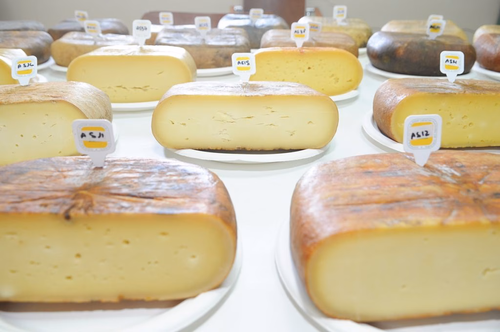 El Govern anuncia un plan de choque de 6 millones contra el impacto de los aranceles