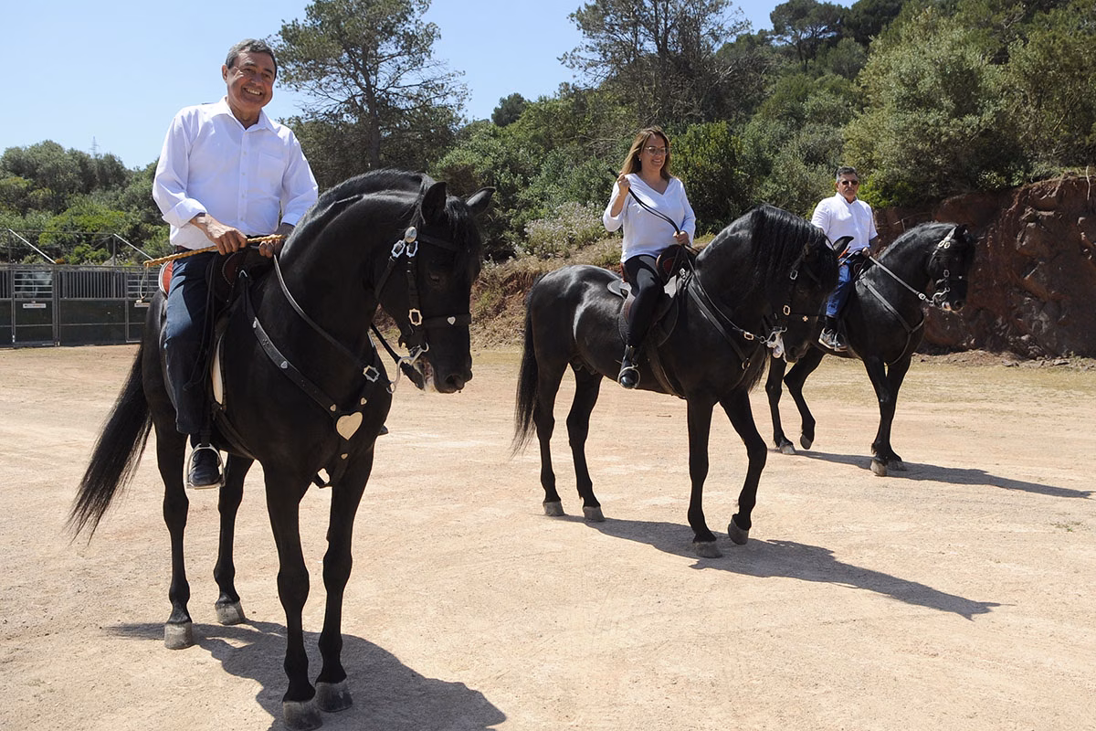 Más de 100 equinos competirán en la Fira del Cavall de Raça Menorquina