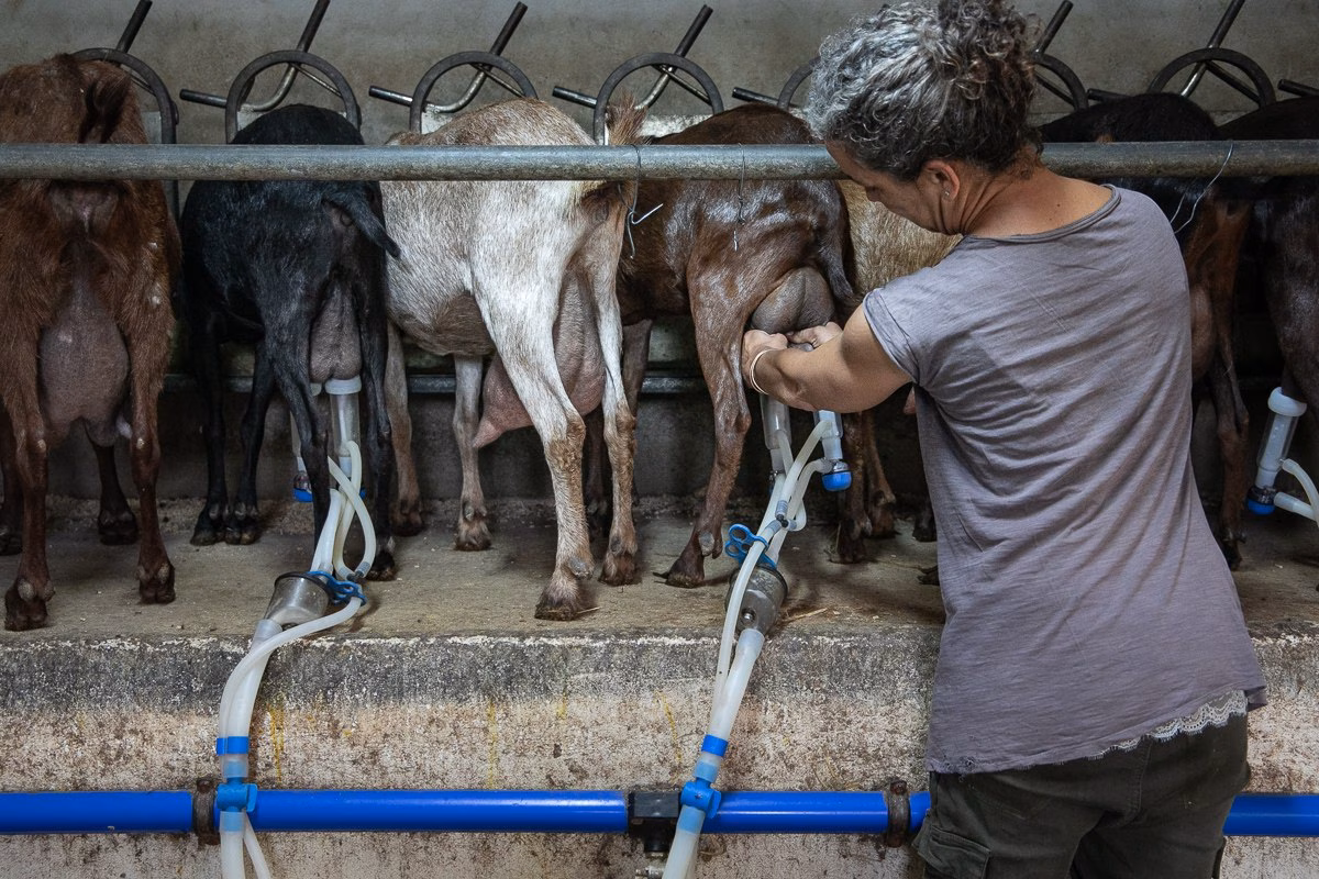 El FOGAIBA pagó más de cinco millones a los agricultores el mes pasado