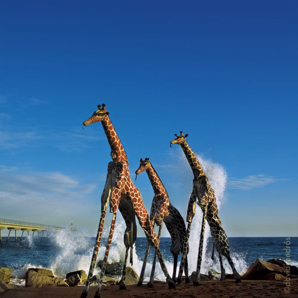 El Festival de Teatre Infantil refuerza su apuesta por la inclusión en su 13ª edición