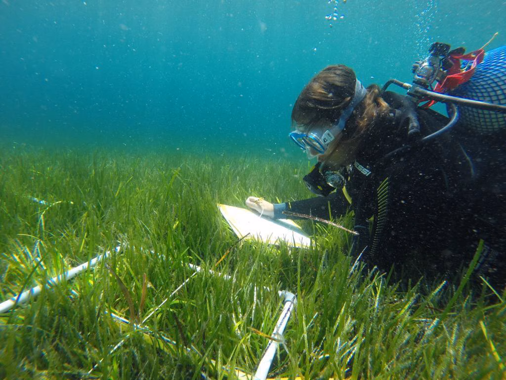 Recomiendan anclajes más ecológicos para los barcos que fondean en el mar de Menorca
