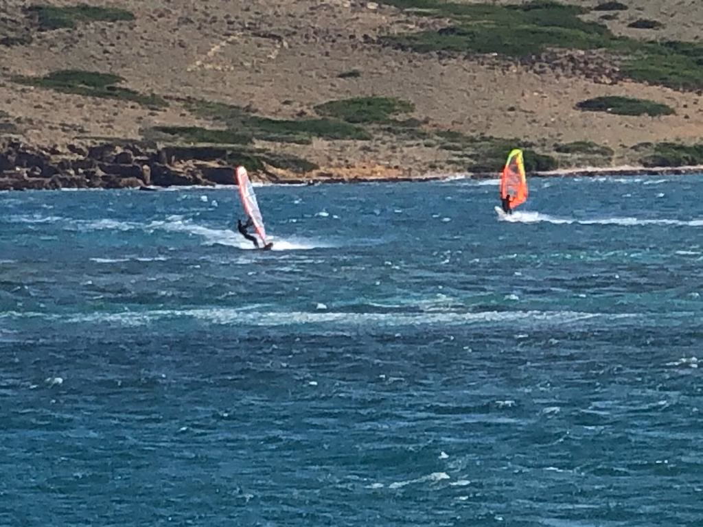 (Vídeo) Winsurfistas aprovechan la fuerte tramontana para navegar en Addaia