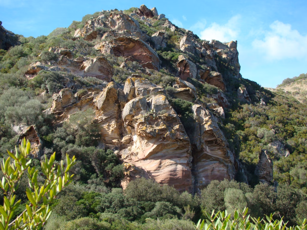 Els camins demanen gestió