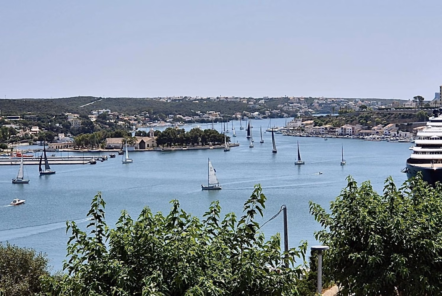 (La foto) Regata en el puerto