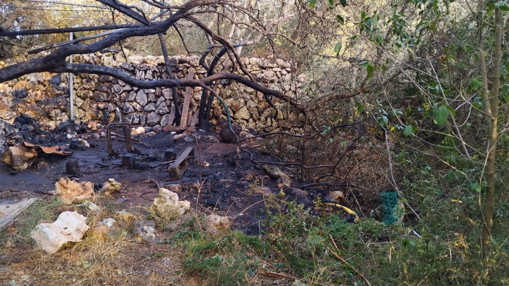 Incendio forestal en Sant Lluís