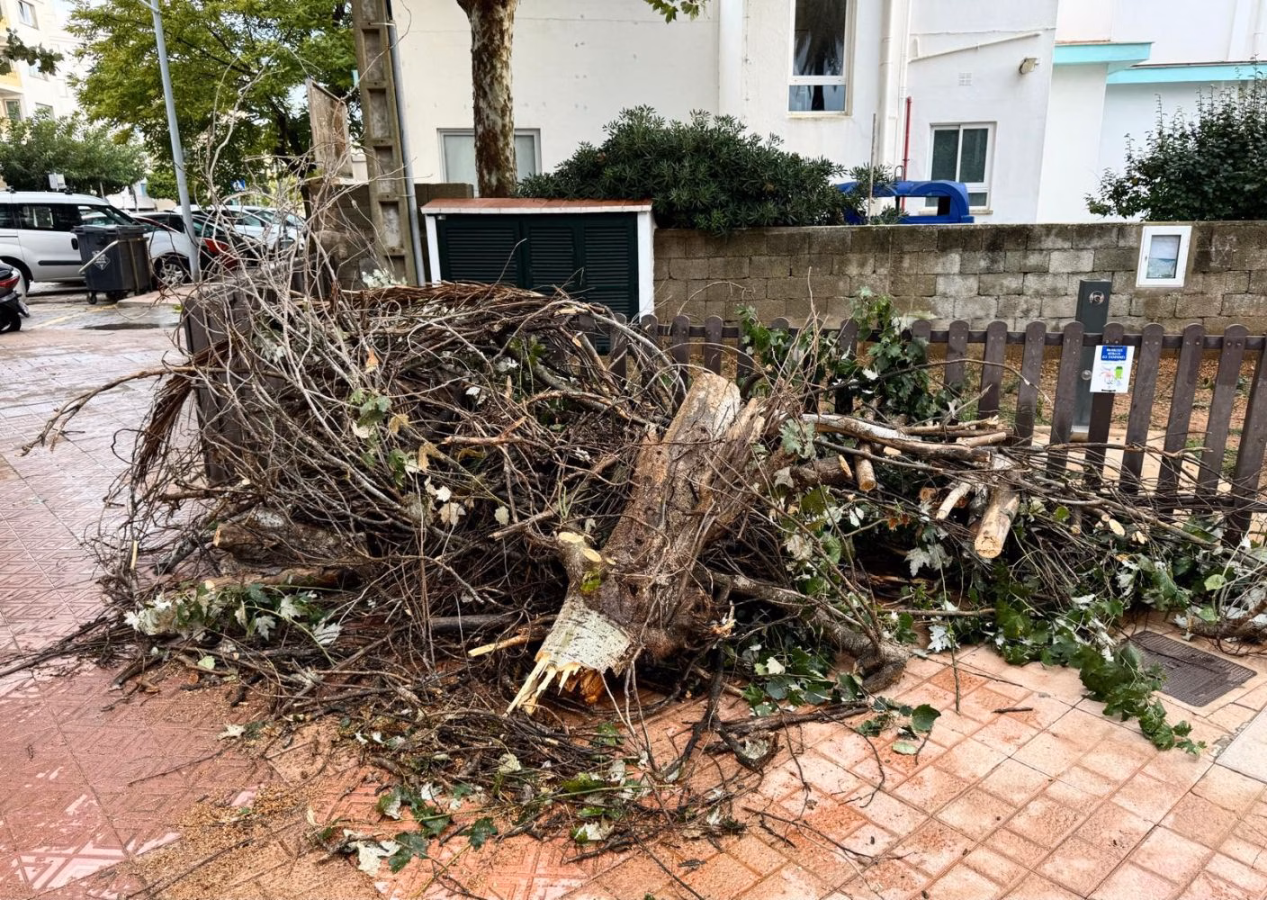 (Fotos) Las lluvias torrenciales y el fuerte viento dejan pequeños incidentes en la isla