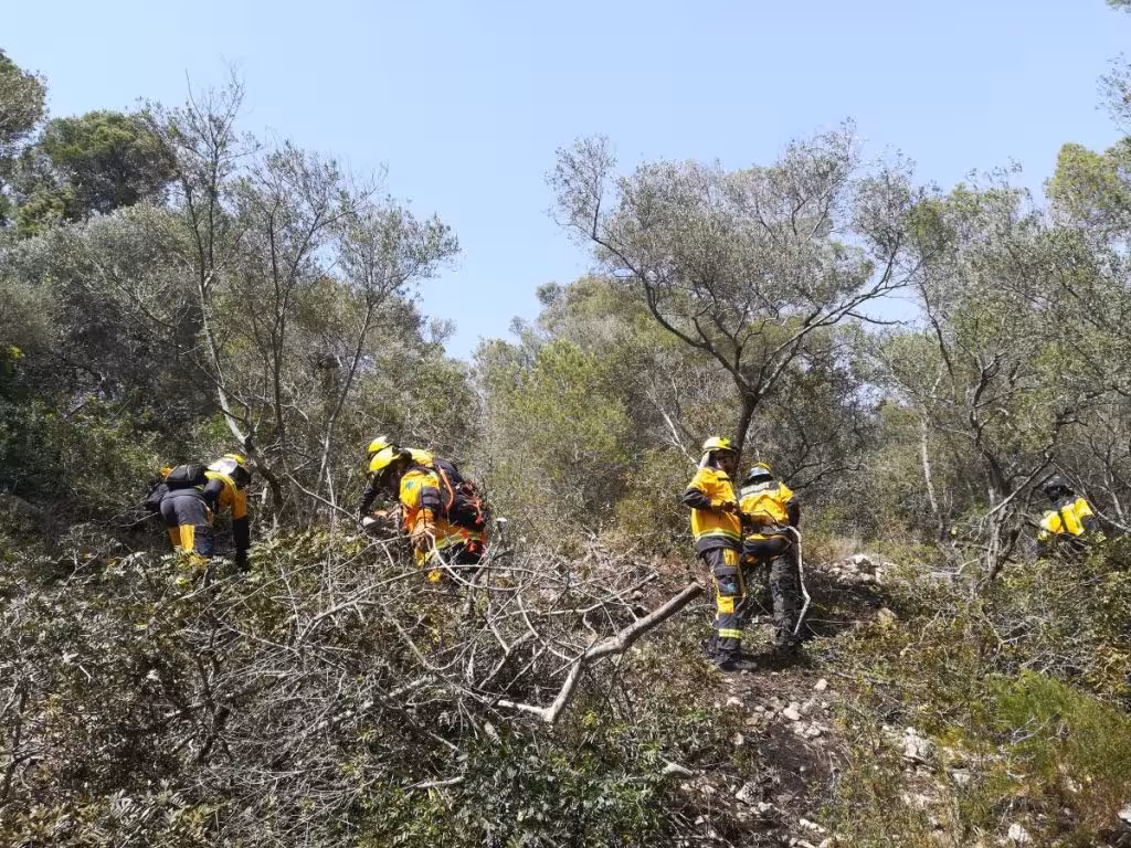 El GOB resalta el papel de la ganadería en la prevención de incendios forestales