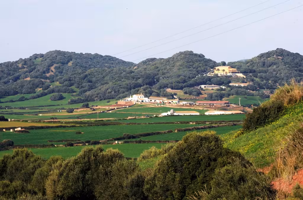 El GOB documenta 23 casos de alquiler turístico en suelo rústico no autorizado